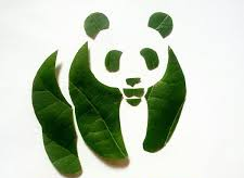 LA NATURALEZA NUESTRO EXISTIR